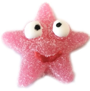 1KG Sealife Starfish Pink
