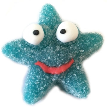 1kg Sealife Starfish Blue