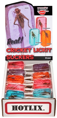 H - Cricket Lick-it Sucker ASST (36)
