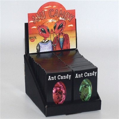 Hotlix Ant Candy (24)